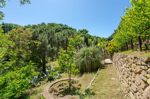 Foto 33 - Casa de 2 quartos em Scansano com jardim e vistas do mar
