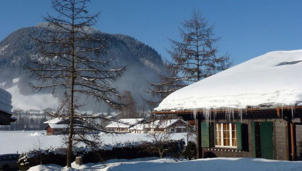 Appartamento con 3 camere da letto a Saanen - Foto 2