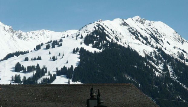 Appartamento con 3 camere da letto a Saanen - Foto 4
