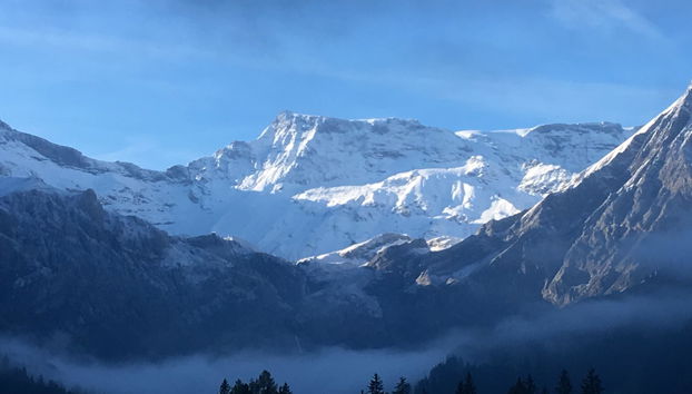 Apartamento de 1 quarto em Adelboden - Foto 5