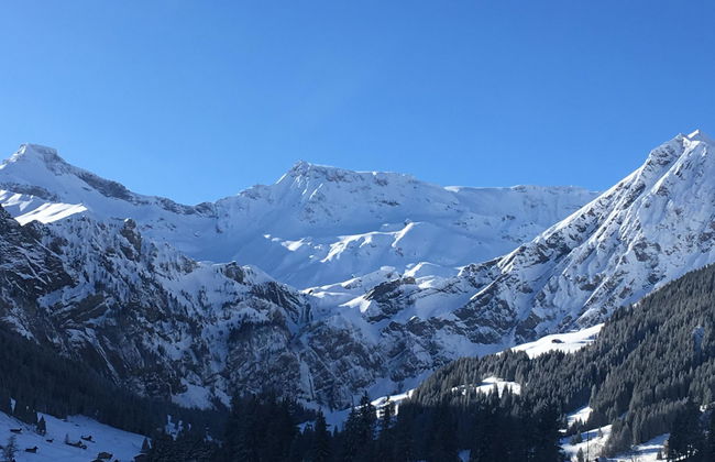 Apartamento de 1 quarto em Adelboden - Foto 7