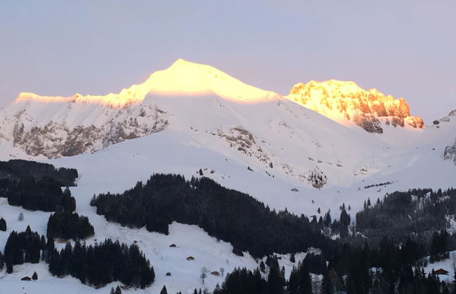 Apartamento de 1 quarto em Adelboden - Foto 9