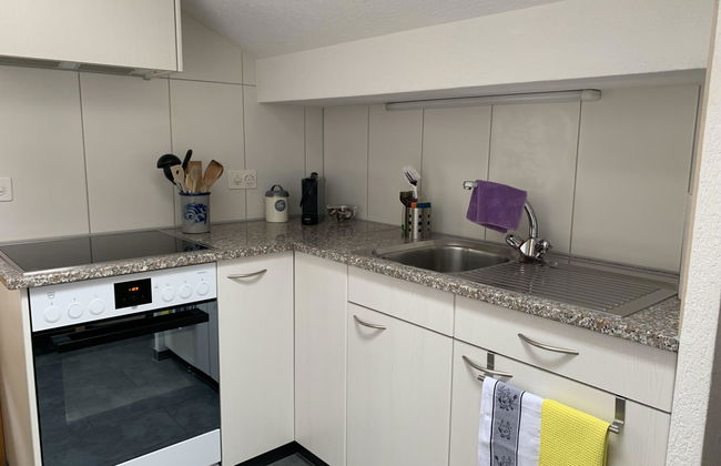 Apartamento de 1 quarto em Adelboden - Foto 20