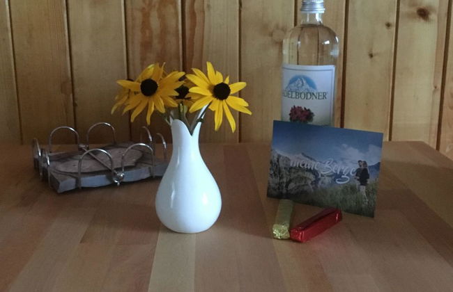 Apartamento de 1 quarto em Adelboden - Foto 15
