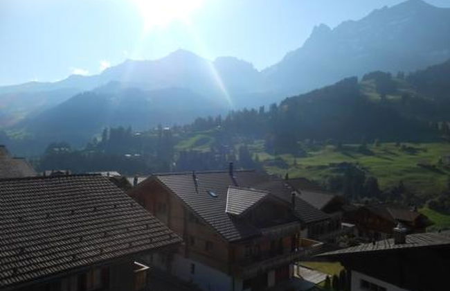 Apartamento de 1 quarto em Adelboden - Foto 6