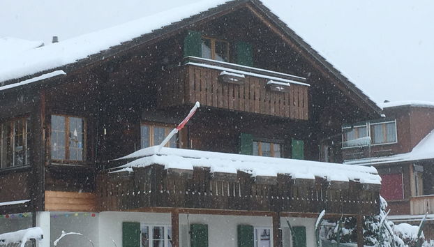 Apartamento de 1 quarto em Adelboden - Foto 3