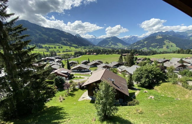 Apartamento de 4 quartos em Saanen - Foto 7