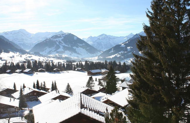 Apartamento de 4 quartos em Saanen - Foto 8
