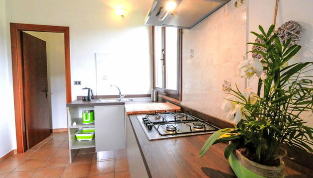 Casa de 4 quartos em Roccastrada com piscina e jardim - Foto 5