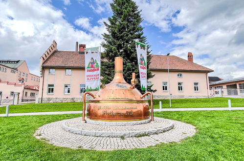 Foto 17 - Appartamento con 1 camera da letto a Ühlingen-Birkendorf con giardino e terrazza