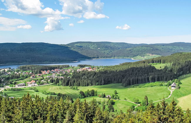Apartamento de 1 quarto em Ühlingen-Birkendorf com jardim e terraço - Foto 36