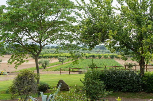 Photo 26 - 3 bedroom Apartment in Bolsena with swimming pool and garden