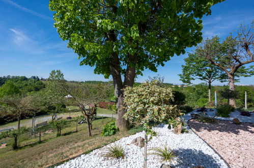 Foto 32 - Casa de 1 habitación en Asti con piscina y jardín