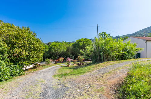 Foto 62 - Casa con 7 camere da letto a Rosignano Marittimo con piscina e giardino