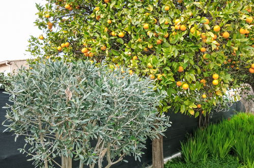 Photo 14 - Maison de 2 chambres à Toulon avec jardin et terrasse