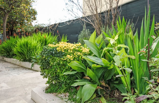 Casa de 3 quartos em Toulon com jardim e terraço - Foto 13