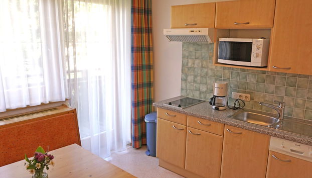 Apartment mit 1 Schlafzimmer in Pettneu am Arlberg mit garten und terrasse - Foto 2