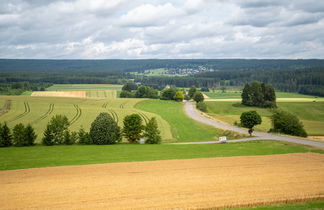 Photo 3 - 2 bedroom Apartment in Löffingen with swimming pool and mountain view