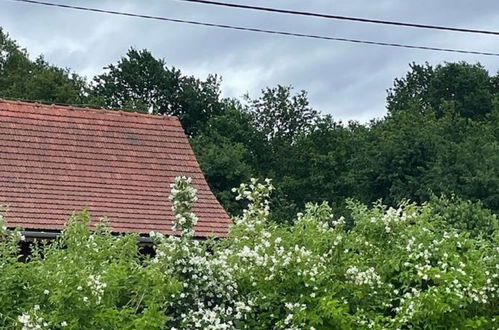 Foto 45 - Casa con 2 camere da letto a Lwówek Śląski con giardino e terrazza