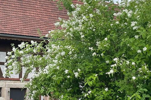 Photo 44 - Maison de 2 chambres à Lwówek Śląski avec jardin et terrasse