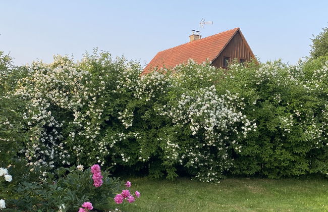 Casa de 3 quartos em Lwówek Śląski com jardim e terraço - Foto 39