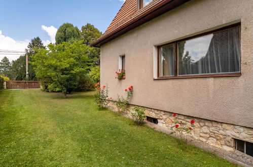 Foto 18 - Casa de 3 quartos em Dobřeň com jardim e terraço