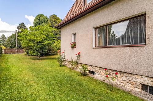 Foto 42 - Haus mit 3 Schlafzimmern in Dobřeň mit garten und terrasse