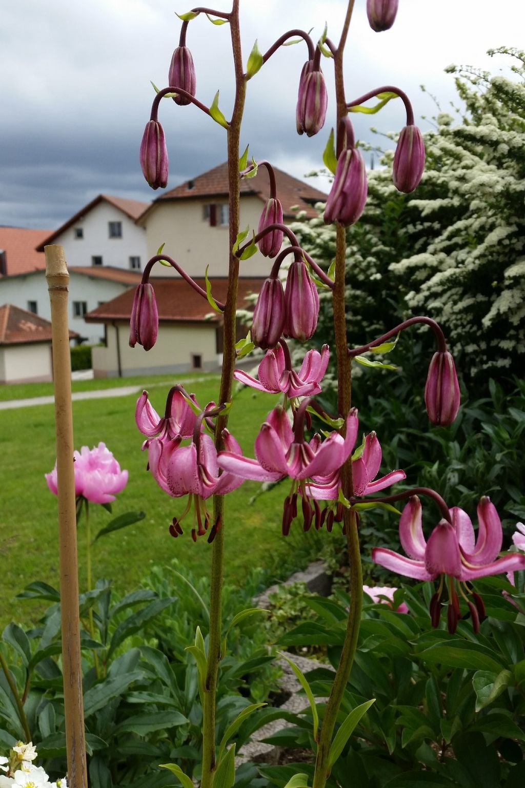 Foto 6 - Appartamento con 1 camera da letto a Les Breuleux con piscina