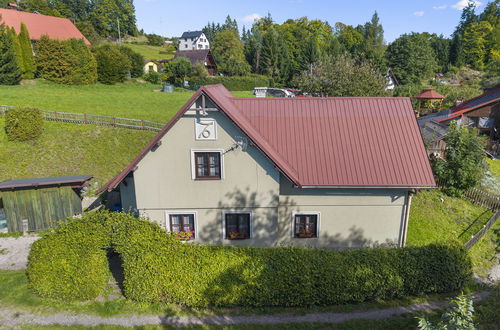 Foto 31 - Casa con 3 camere da letto a Háje nad Jizerou con piscina privata e giardino