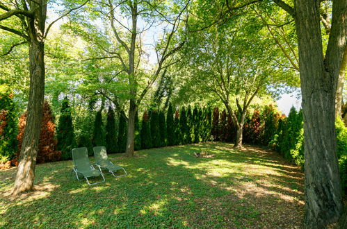 Photo 24 - Maison de 2 chambres à Balatonőszöd avec jardin et vues sur la montagne