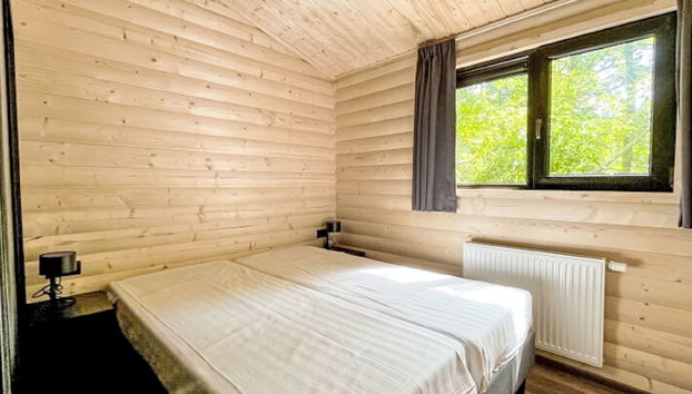 Haus mit 4 Schlafzimmern in Dwingeloo mit schwimmbad - Foto 5