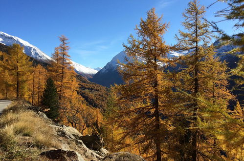 Photo 22 - 2 bedroom Apartment in Saas-Grund with garden and mountain view