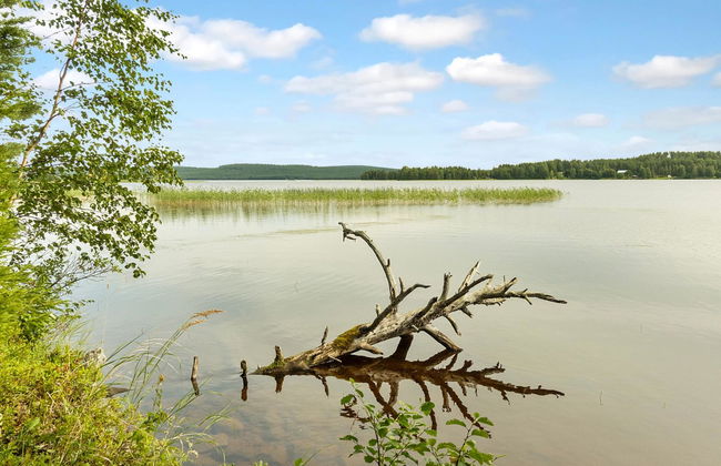 Haus mit 2 Schlafzimmern in Ylitornio mit sauna - Foto 22