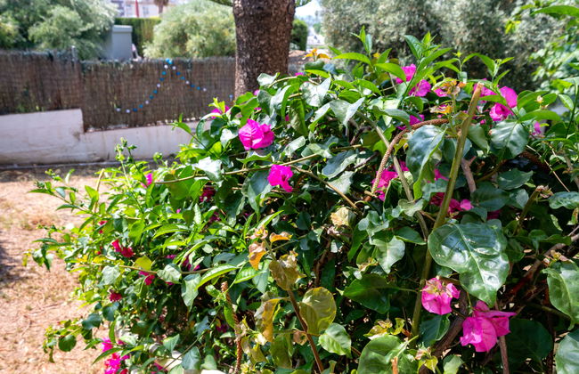 4 bedroom House in Calafell with swimming pool and garden - Photo 35