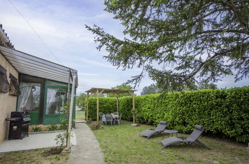 Photo 15 - Maison de 1 chambre à Solliès-Pont avec jardin