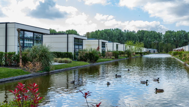 Haus mit 3 Schlafzimmern in Velsen-Zuid mit schwimmbad und terrasse - Foto 5
