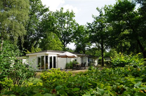 Foto 14 - Casa de 3 habitaciones en Arnhem con piscina y jardín