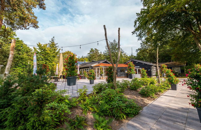 Casa de 3 quartos em Dwingeloo com piscina e terraço - Foto 10