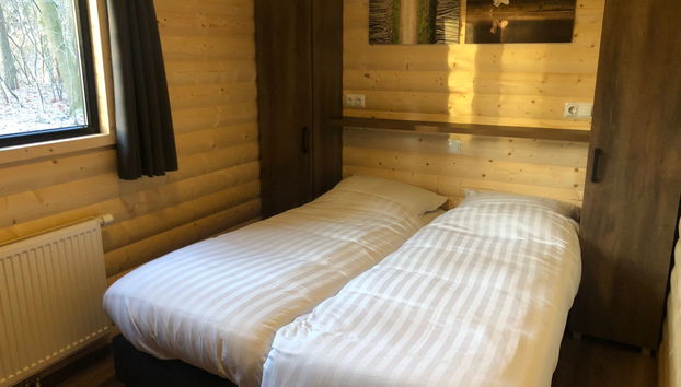 Maison de 3 chambres à Dwingeloo avec piscine et terrasse - Photo 5