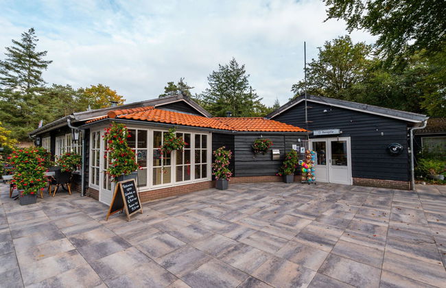 Casa de 3 quartos em Dwingeloo com piscina e terraço - Foto 8