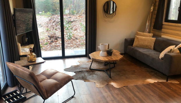 Maison de 3 chambres à Dwingeloo avec piscine et terrasse - Photo 2
