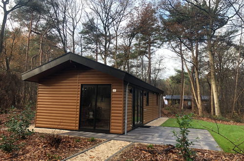 Photo 1 - Maison de 2 chambres à Dwingeloo avec piscine et terrasse