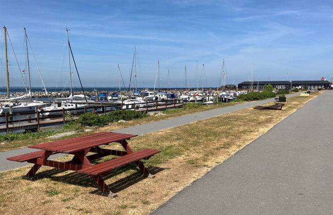 Casa de 3 quartos em Tranekær com terraço - Foto 16