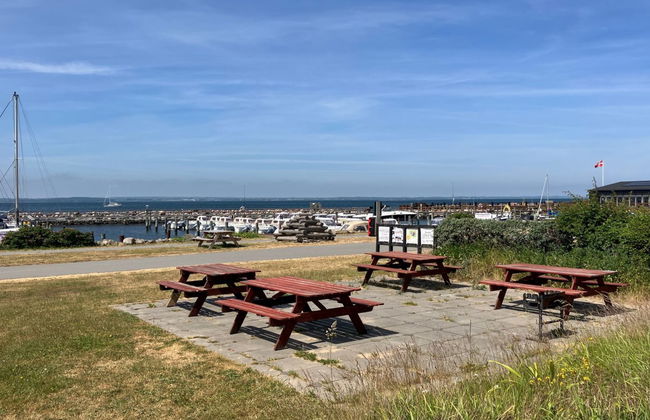 Casa de 3 quartos em Tranekær com terraço - Foto 17