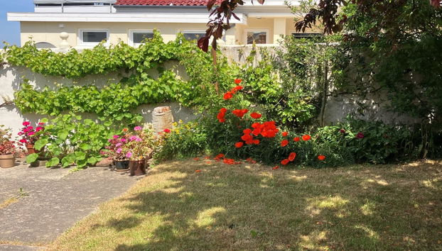 Haus mit 3 Schlafzimmern in Tranekær mit terrasse - Foto 3