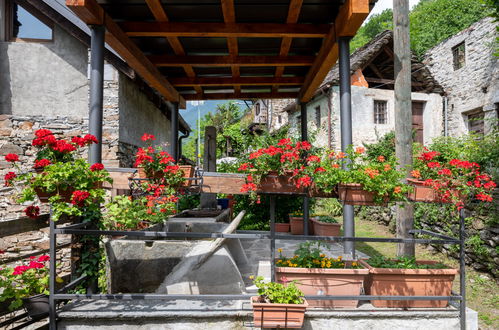 Photo 27 - Maison de 1 chambre à Bognanco avec jardin et terrasse