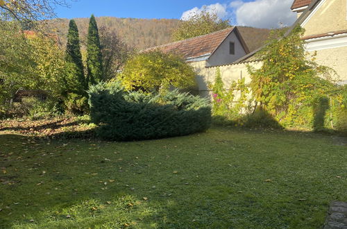 Photo 25 - Appartement en Aggsbach avec jardin