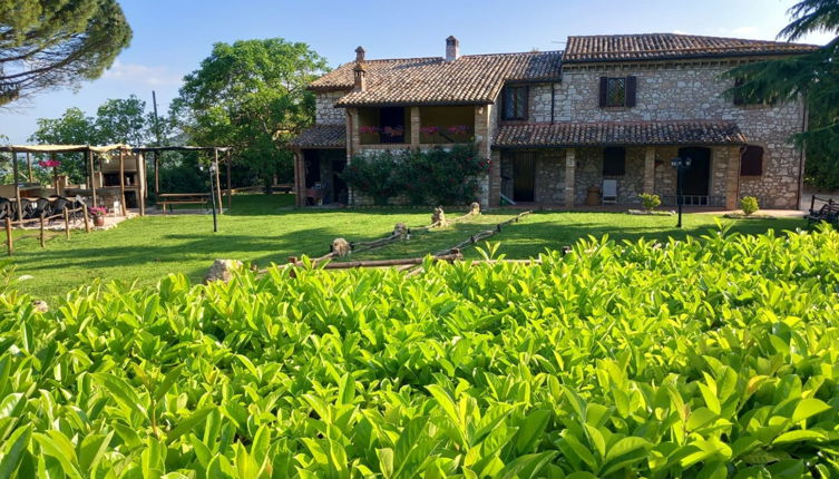 Foto 1 - Casa con 4 camere da letto a Massa Martana con piscina privata e giardino