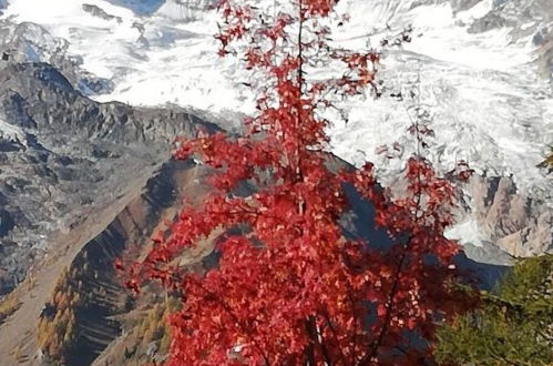 Foto 20 - Appartamento con 2 camere da letto a Saas-Fee