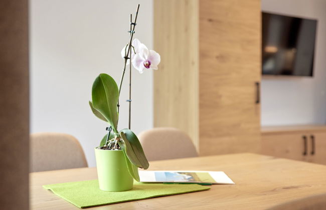Apartamento de 2 quartos em Längenfeld com jardim e terraço - Foto 6